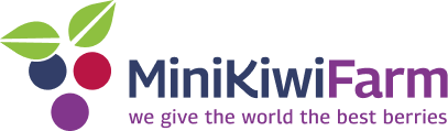 minikiwifram
